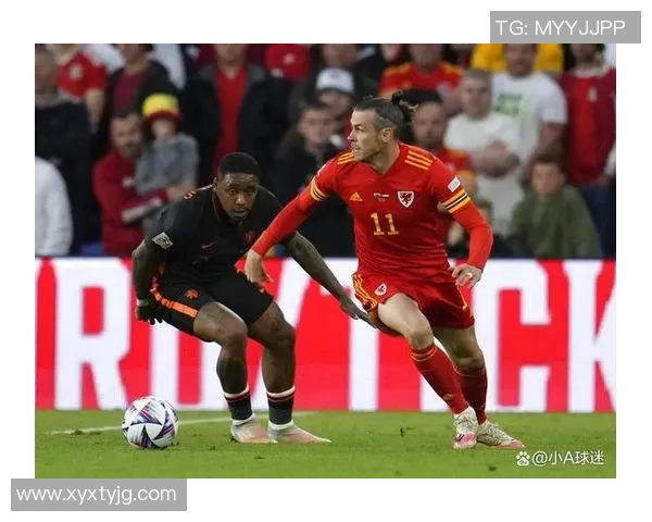 法国与荷兰足球对决积分榜分析及未来赛程展望