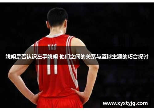 姚明是否认识左手姚明 他们之间的关系与篮球生涯的巧合探讨