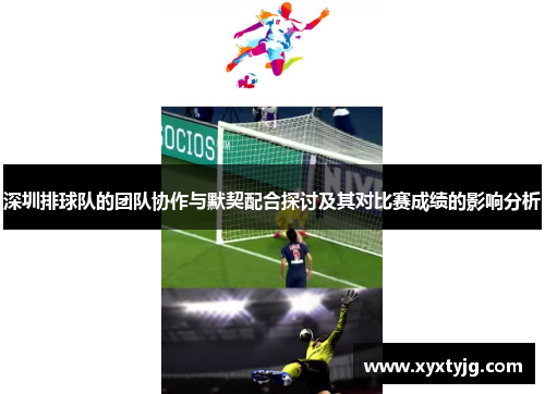深圳排球队的团队协作与默契配合探讨及其对比赛成绩的影响分析